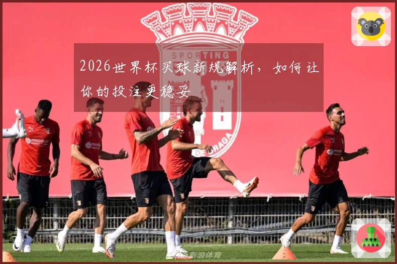 2026世界杯买球新规解析，如何让你的投注更稳妥