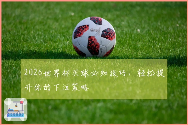 2026世界杯买球必知技巧，轻松提升你的下注策略