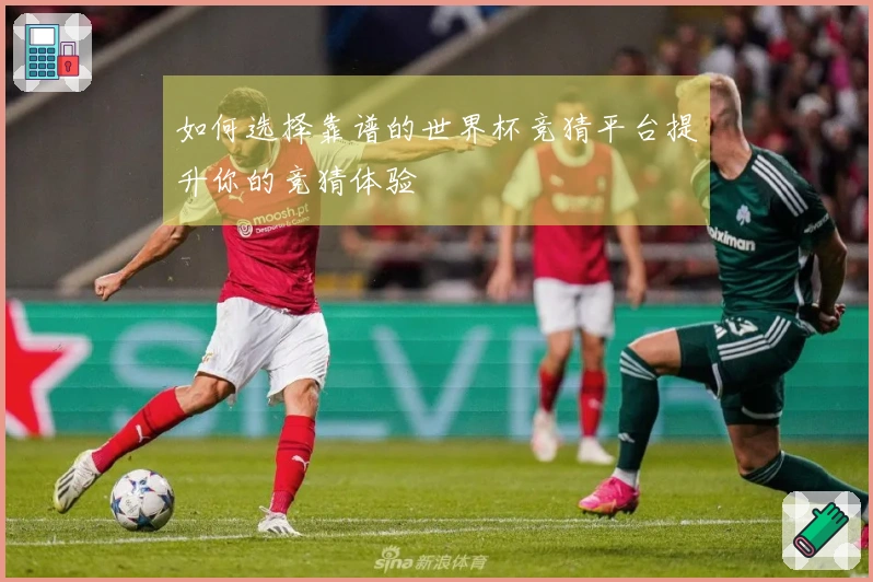 如何选择靠谱的世界杯竞猜平台提升你的竞猜体验