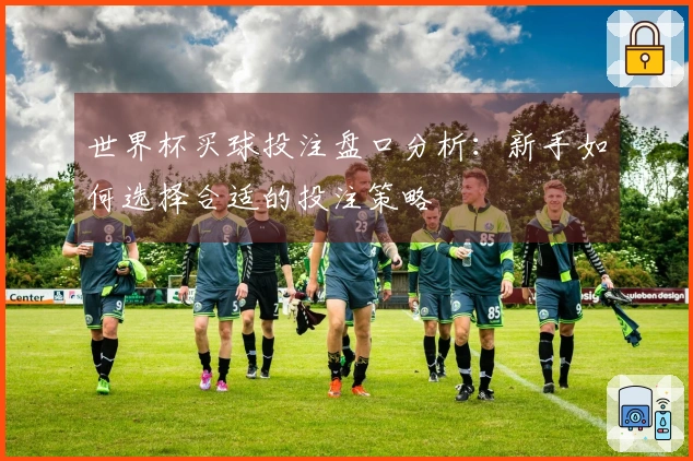 世界杯买球投注盘口分析：新手如何选择合适的投注策略