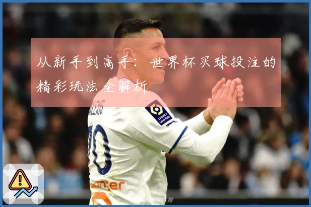 从新手到高手：世界杯买球投注的精彩玩法全解析