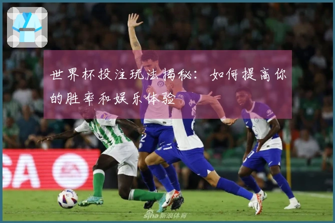 世界杯投注玩法揭秘：如何提高你的胜率和娱乐体验