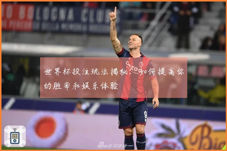 世界杯投注玩法揭秘：如何提高你的胜率和娱乐体验