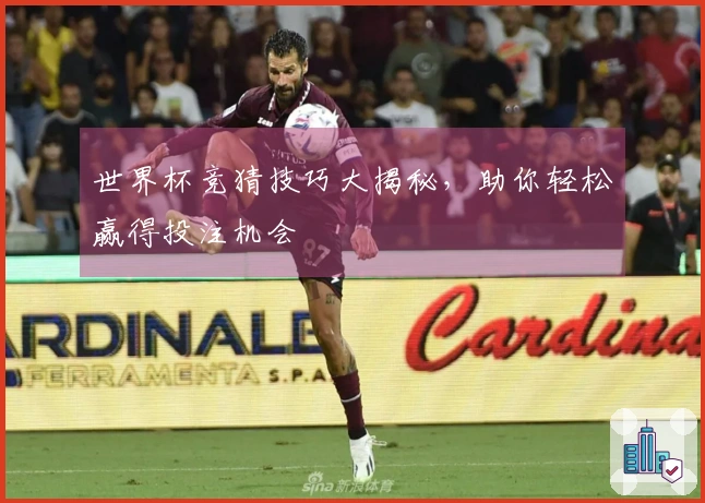 世界杯竞猜技巧大揭秘，助你轻松赢得投注机会
