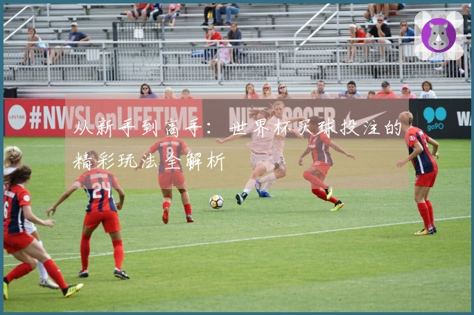 从新手到高手：世界杯买球投注的精彩玩法全解析