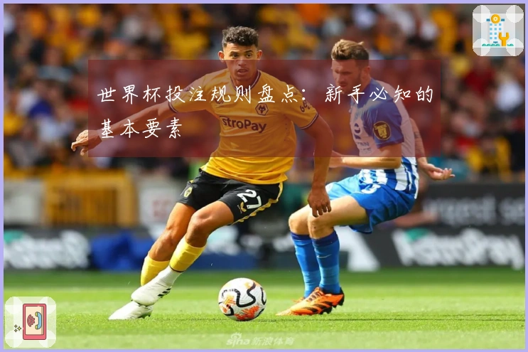 世界杯投注规则盘点：新手必知的基本要素