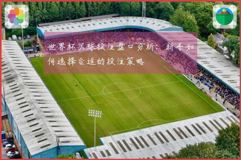 世界杯买球投注盘口分析：新手如何选择合适的投注策略