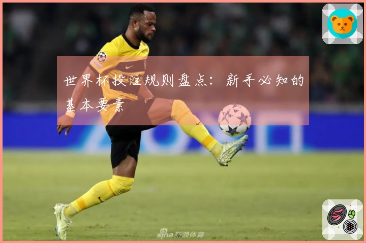 世界杯投注规则盘点：新手必知的基本要素