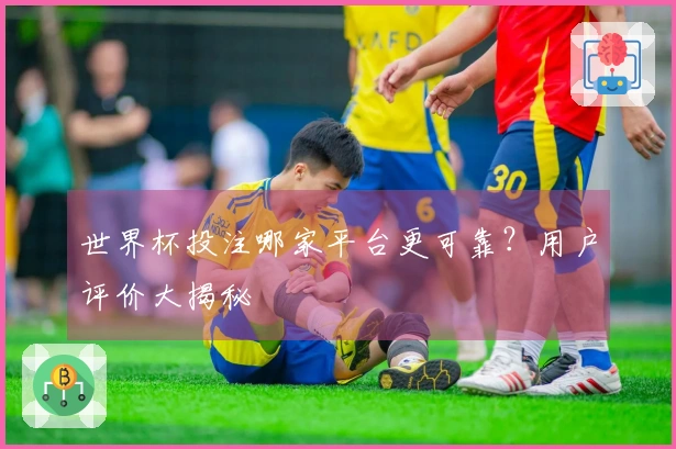 世界杯投注哪家平台更可靠？用户评价大揭秘