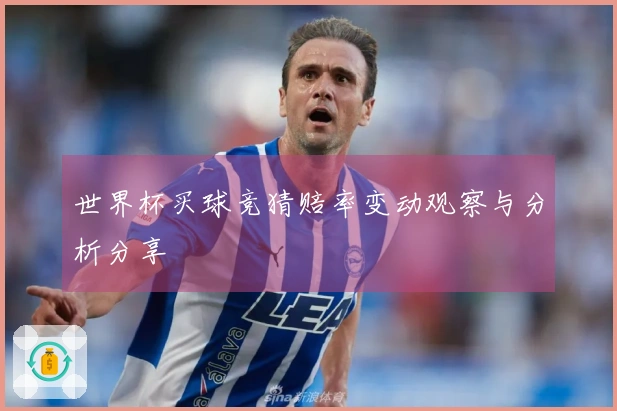 世界杯买球竞猜赔率变动观察与分析分享
