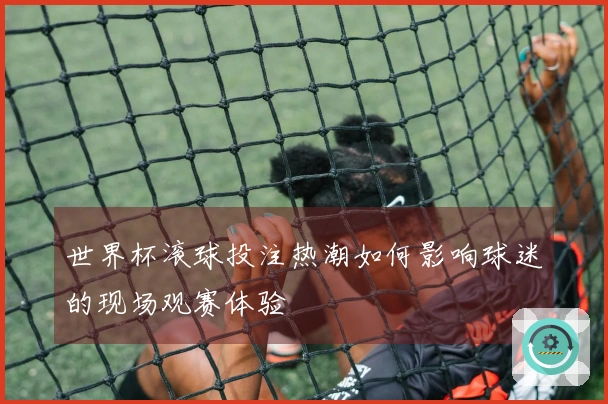 世界杯滚球投注热潮如何影响球迷的现场观赛体验